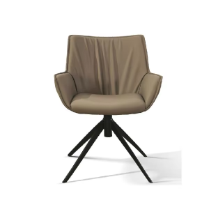 Modern Scandinavian Style Living Room Dining Room Lounge Swivel Metal Lounge Chair Office Chair (Auto Reset Feet)